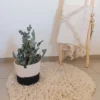 Alfombra Algodón Rustica redonda 80cm diámetro