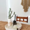 COMBO - Centro de Mesa