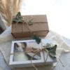 BOX 8 Vela