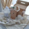 BOX 1 MEDIANO