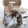 BOX 1 MEDIANO