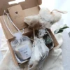 Box1