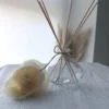 Envase Difusor Bombe
