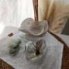 Envase Difusor Petaca