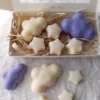 compressed_IMG_20260104_140746 Wax melts Varios
